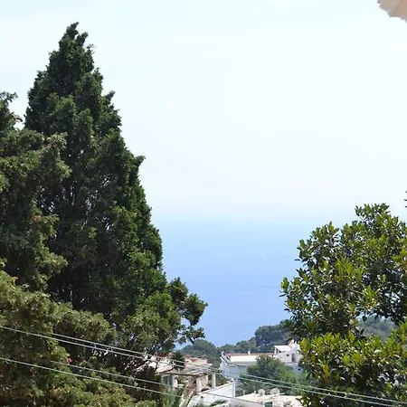 Tiberio Palace - The Leading Of The World